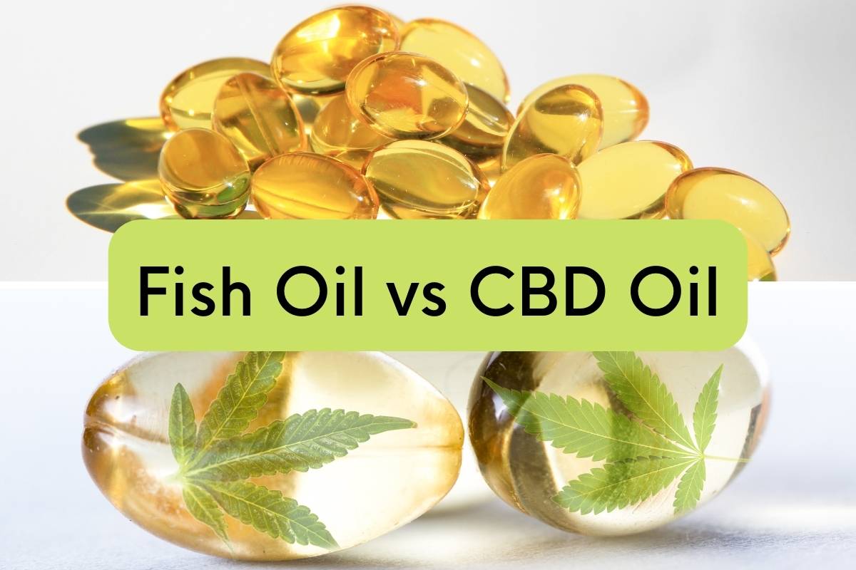Benefits of CBD Oil and Fish Oil